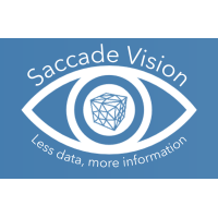 Saccade Vision